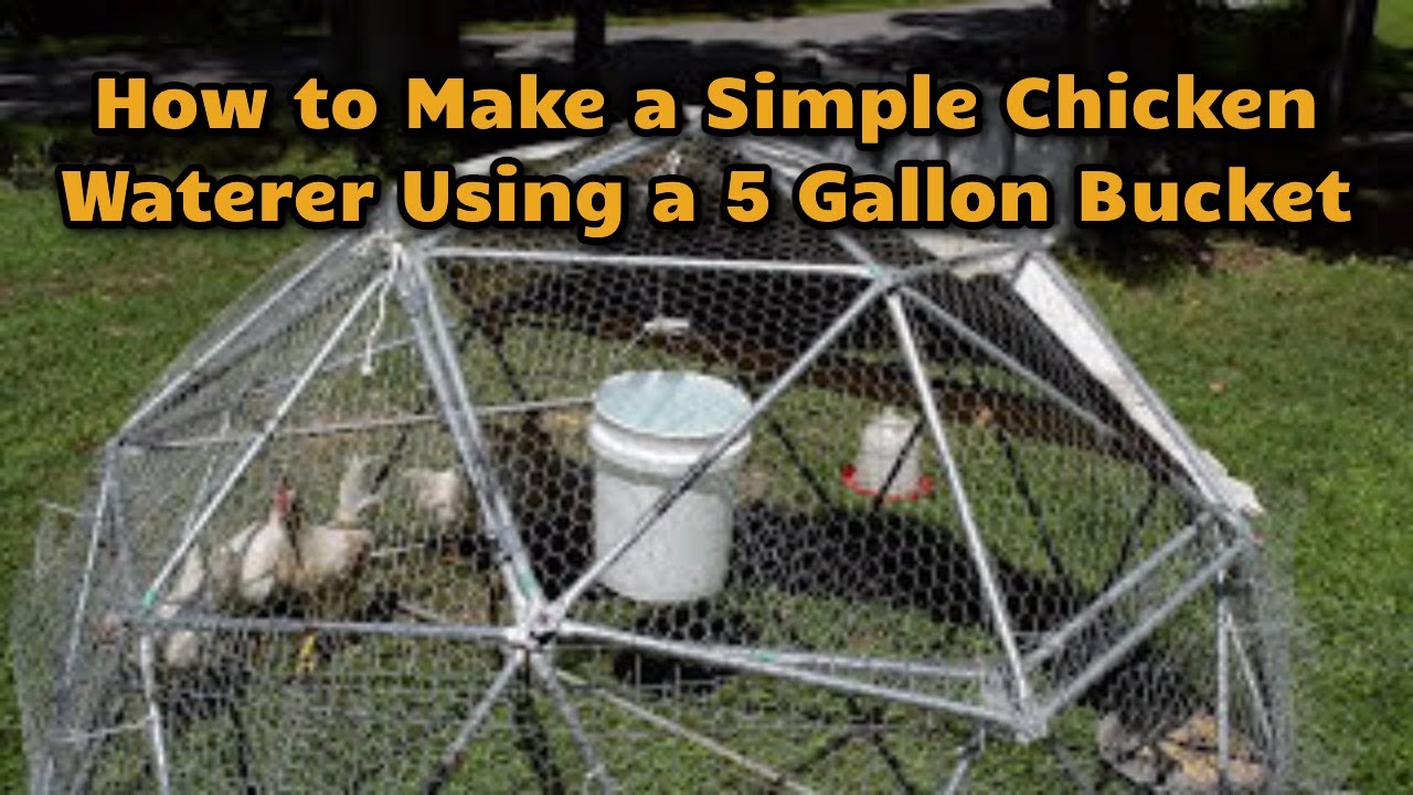 How to Make a Simple Chicken Waterer Using a 5 Gallon Bucket - YouTube