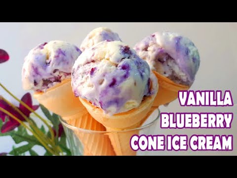 Vanilla Blueberry Cone