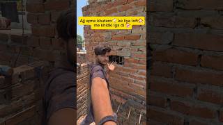 Ajj apne Loft 🏠 me khidki lga di #pigeon #kabootarloft05 #pigeonhouse #minivlog#dailyvlog ets #birds