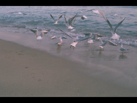 빈말-헨(HEN) demo