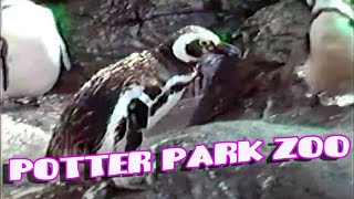 Potter Park Zoo-Lansing Michigan-Summer 1988!-VHS