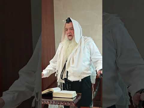 האם מותר לאכול עוגיות פפושדו בפסח? ומה מרן רבינו עובדיה יוסף עליו השלום היה עושה?