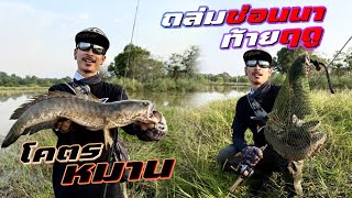 ถล่มช่อนนา ท้ายฤดู!! โคตรหมาน