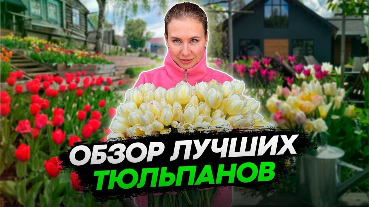 ОСЕНЬ - ВРЕМЯ САЖАТЬ ТЮЛЬПАНЫ | Обзор самых красивых сортов за все годы выращивания