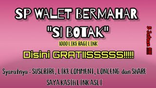 SUARA WALET ASLI DARI ALAM || SP SI BOTAK