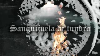 Darkthrone/ Tundra leech (Subtitulado en Español)