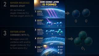 How Ozone Layer Is Formed 🌎 | Explained in 30 sec | Class 10 CBSE #ozone_production #cbse #shorts