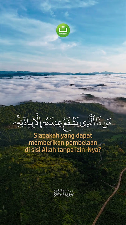 ayat kursi | al-baqarah 255