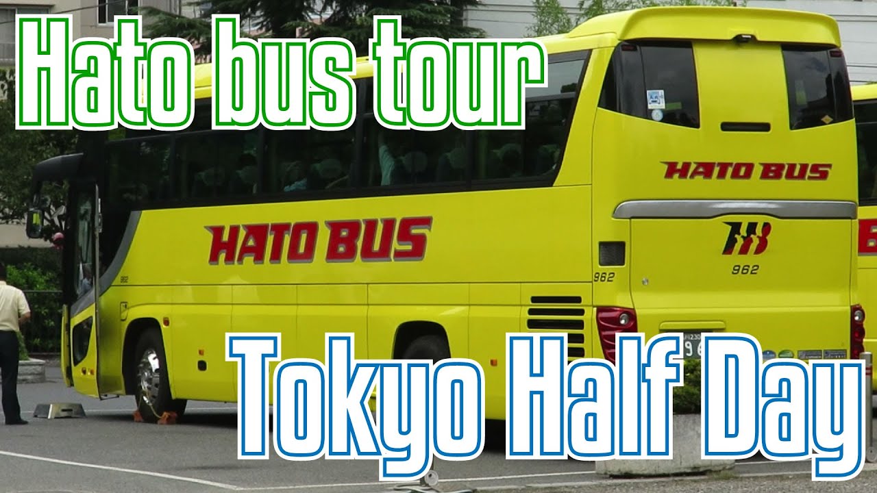 tokyo half day bus tour