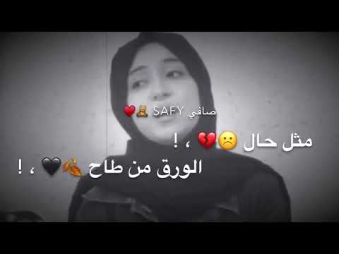 تصاميم انستقرام بدون حقوق تخيل شجرة بيها بصوت بنت فلسطينية ديما شاشة سوداء حالات واتس اب