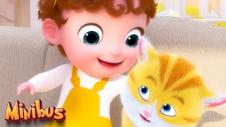Little Cat Song + more Nursery Rhymes & Kids Songs | Minibus Baby Songs