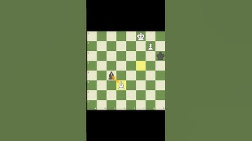 Bishop Endgame: Disable black