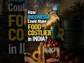 Why Indonesia’s New Policy Could Make Food Costlier in India! | NEXT IAS