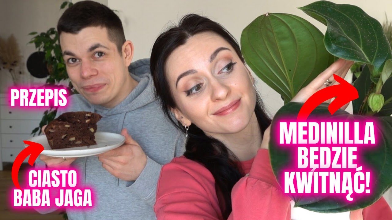✨DOMOWY VLOG✨Medinilla będzie KWITNĄĆ! + przepis na ciasto Baba Jaga🌸