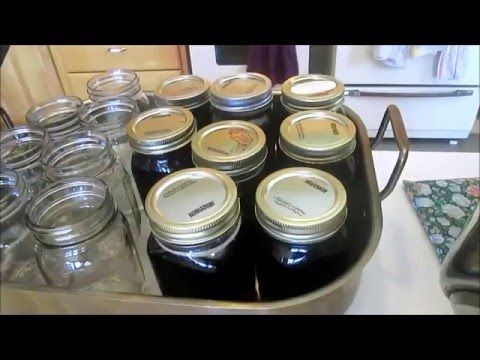 Making Maple Syrup With the Brothers