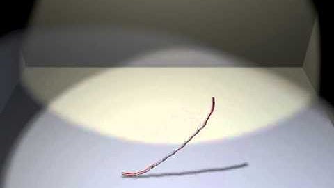 Rope in Blender 2.66