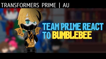 𝙏𝙚𝙖𝙢 𝙋𝙧𝙞𝙢𝙚 𝙍𝙚𝙖𝙘𝙩 𝙏𝙤 𝘽𝙪𝙢𝙗𝙡𝙚𝙗𝙚𝙚  | TFP | AU | 1/2