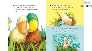 Ruby in Her Own Time" story Grade 1