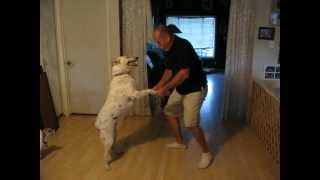 MVI_0526.AVI