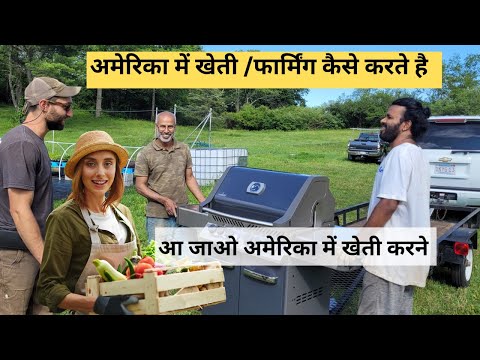 वीडियो: अलविदा, खेत! अमेरिका में एक नया पसंदीदा होम स्टाइल है