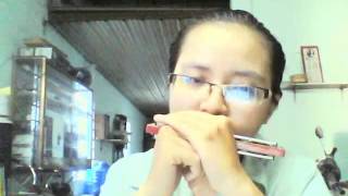 Video thumbnail of "The Moon Represents My Heart - harmonica - ca hoang my"