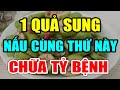 Cảnh báo: CỨ ĂN QUẢ SUNG Theo Cách Này SẼ DIỆT UNG THƯ SỐNG RẤT THỌ, GAN THẬN Khoẻ Như Voi