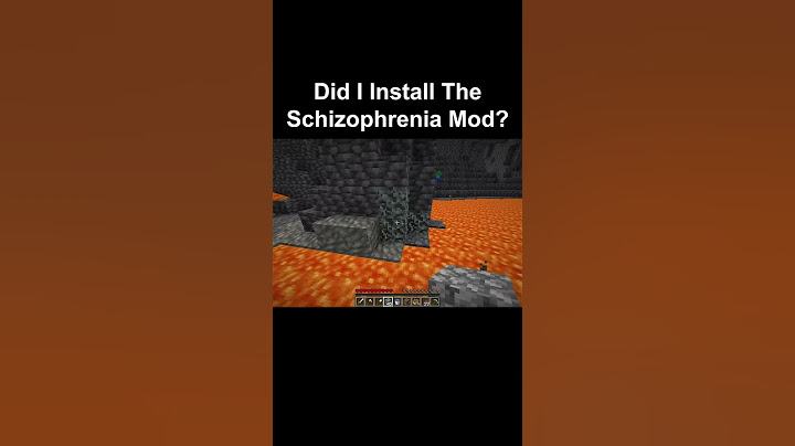 Did I Install The Schizophrenia Mod??