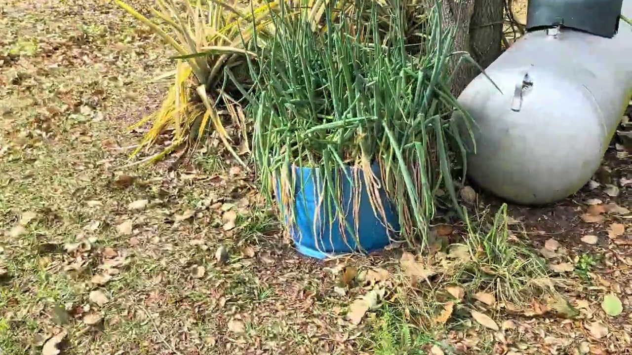 La finca muerta 😭☹️☹️