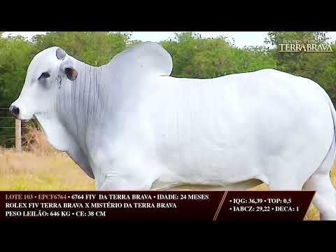LOTE 103   EPCF 6764