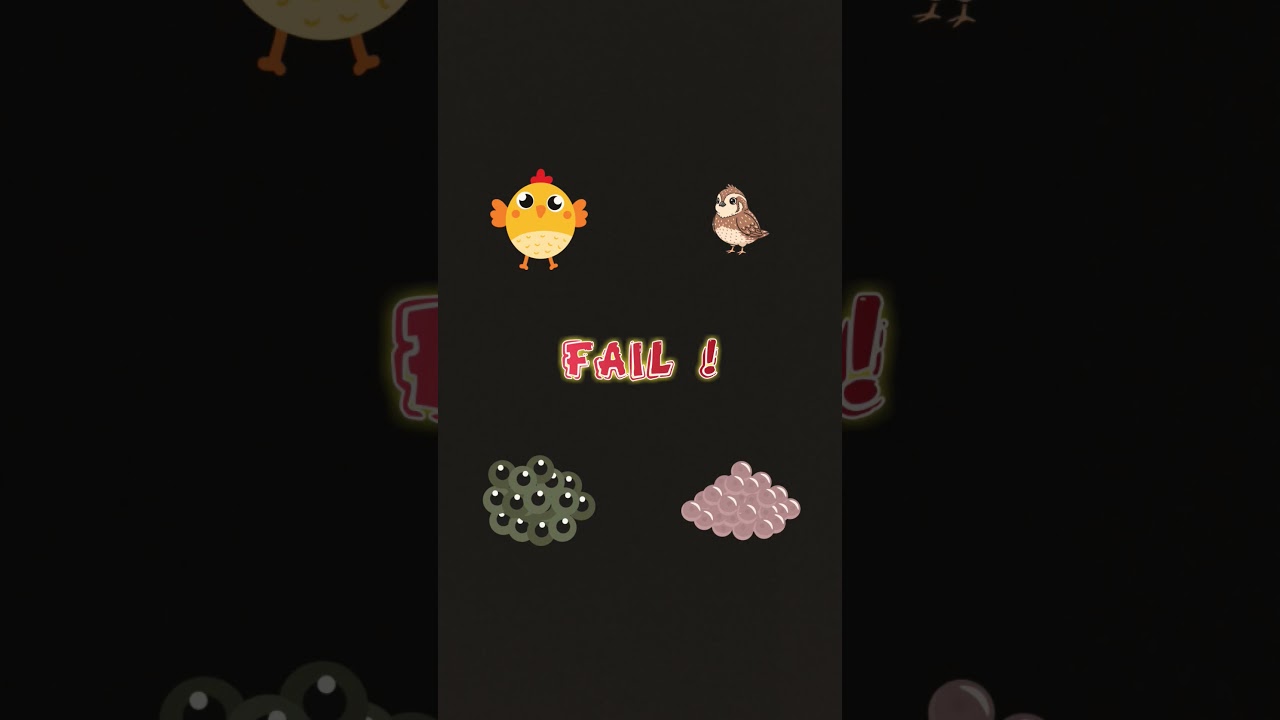 New tutorial save eggs 🥚