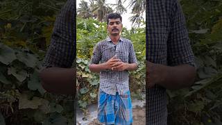 குறைந்தபட்ச ஆதாரவிலை அதிகபட்சமாக ஆகவேண்டும் 🙁 #agriculture #organicagriculture #farming #shortvideo