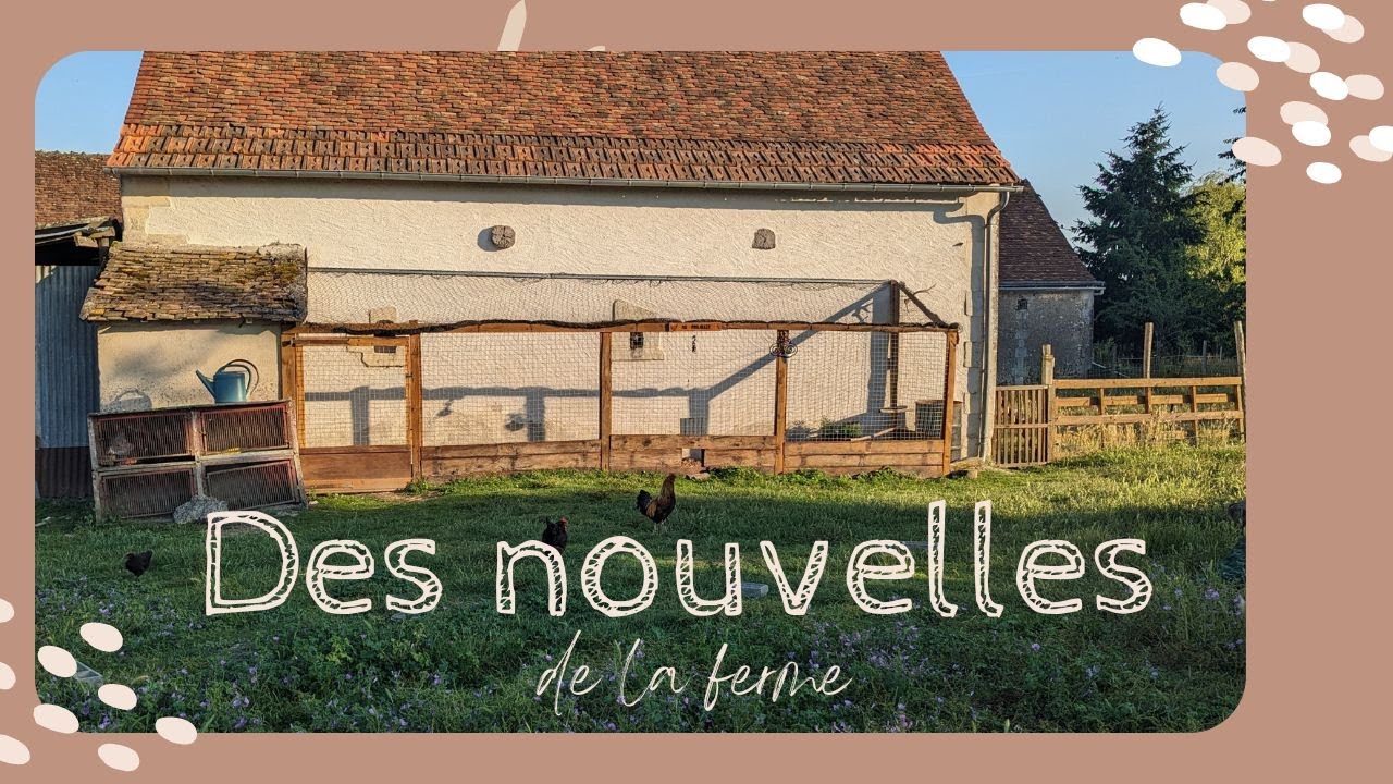 Des nouvelles de la ferme ! - YouTube