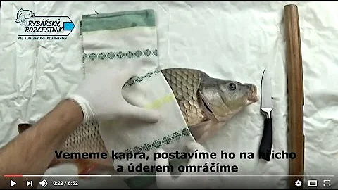 Jak smažíme ryby?