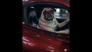 The DTCC knows #xlm #pug #xlp