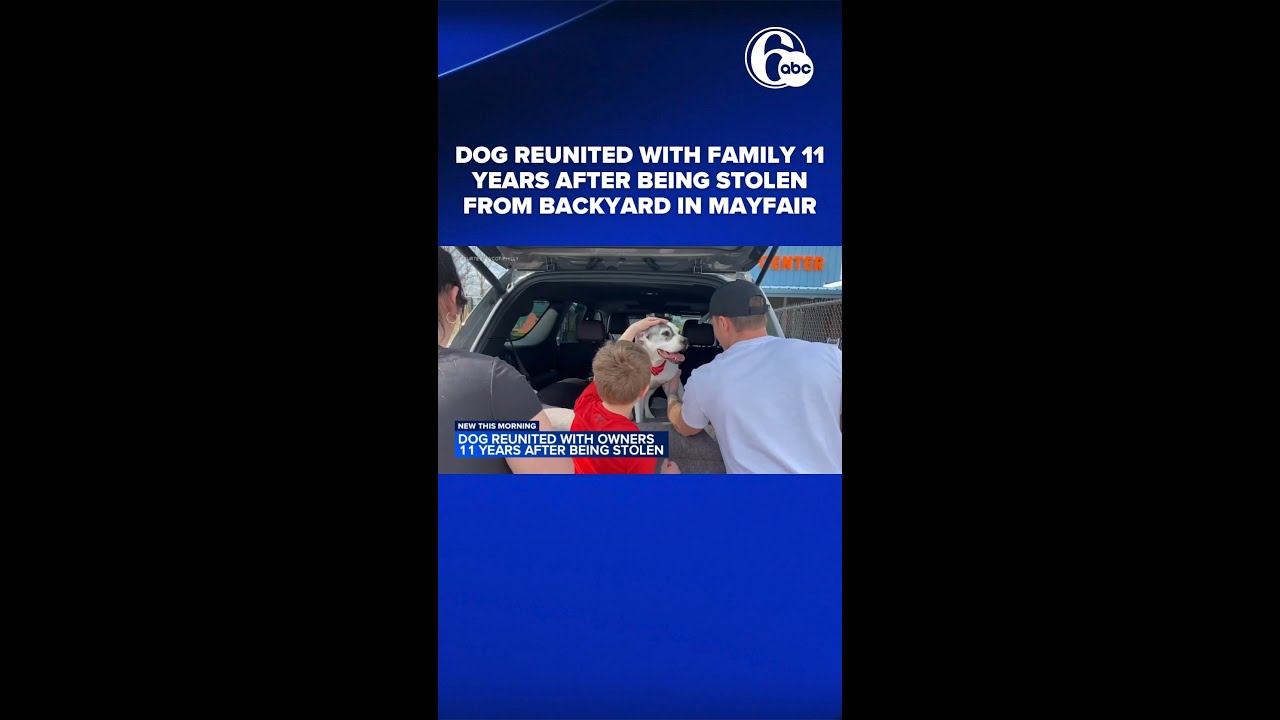 Dog reunited with family 11 years after being stolen from backyard in ...