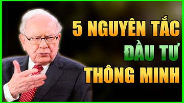 5 Nguyên Tắc Đầu Tư Theo Phong Cách Warren Buffett Năm 2025