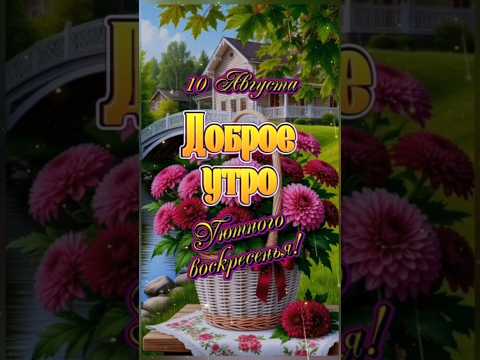 Доброе воскресное утро, мои хорошие!🌈🌻☕🍰🍭#доброеутро #популярное #рекомендации