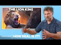 Lion expert rates 9 bigcat attacks in movies  how real is it  insider