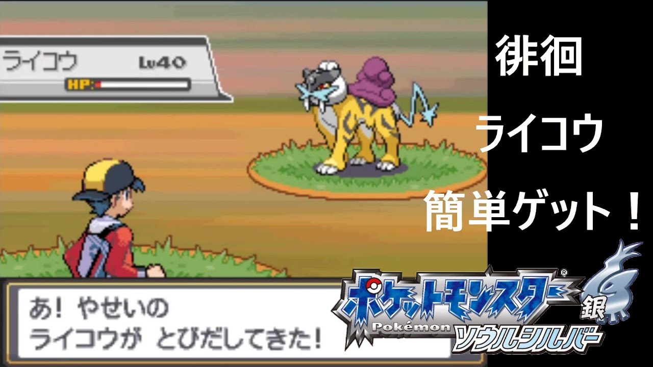 ポケモン - ポケットモンスター ソウルシルバー やり込み Amazon.co.jp: ポケットモンスター ソウルシルバー(特典無し