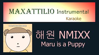 해원 NMIXX Maru is a Puppy instrumental