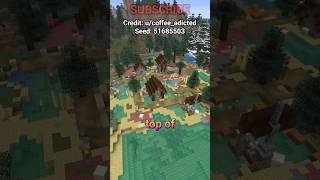 the RAREST VILLAGE IN MINECRAFT?!?!?