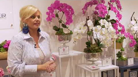 Shay Geyer Collection for The Botanical Mix debuts...