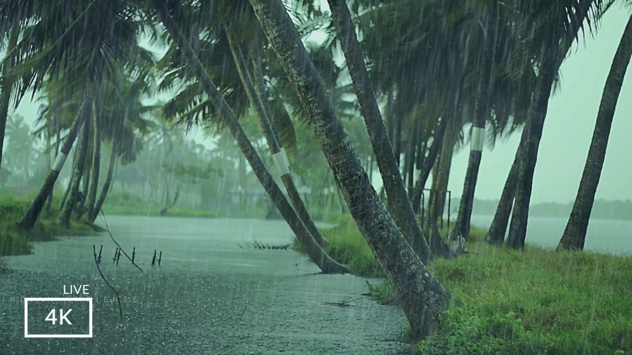 Rain and Thunder Sounds for Relaxation| Thunderstorm Sound Effect with ...