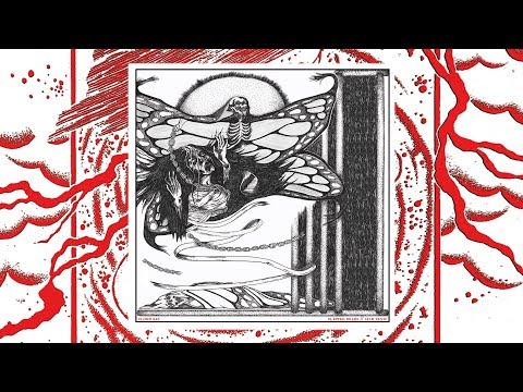 Clipped Beaks // Silk Panic MMXVIII artwork