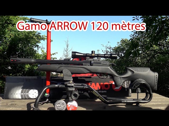 Pack Carabine PCP GAMO Arrow 5.5mm 19.9J + lunette 3-9x40wr +