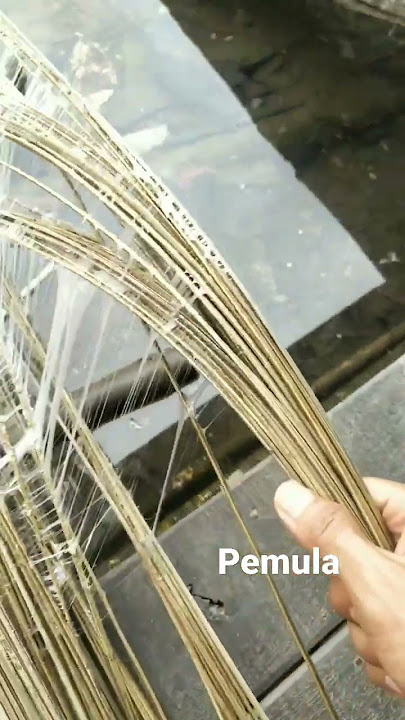 belajar bikin pulut nah mumpung udh masuk musim penghujan