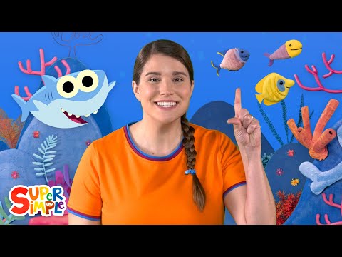 Baby Shark | Songs from Caitie's Classroom