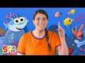 Baby Shark | featuring Caitie | Nursery Rhymes from Caitie's Classroom