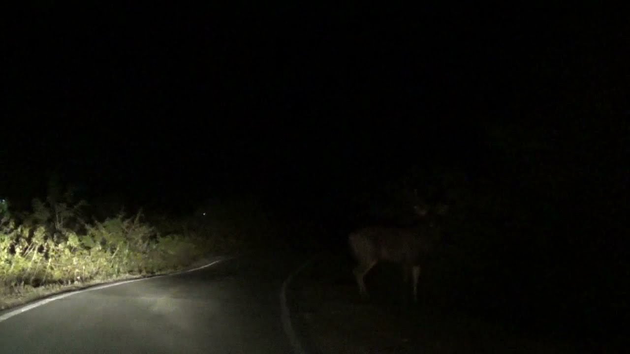 Guess What? We got something on our way to kareri lake trek