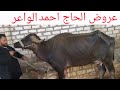                                                           حالتي